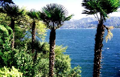 Italy,Lombardy,Lake Como,holiday rentals,vacations apartments,vacation rentals,
flats and rooms to rent,self catering,bed and breakfast,vacancy,accommodation,
Comer See,Italien,Lombardie,urlaub,ferienwohnungen zu vermieten,ferienhaus,
Italia lago di Como appartamenti e case vacanze,
Italie lac de come locations appartaments maison de vacances